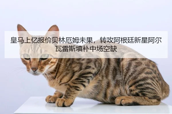 皇马上亿报价贝林厄姆未果，转攻阿根廷新星阿尔瓦雷斯填补中场空缺